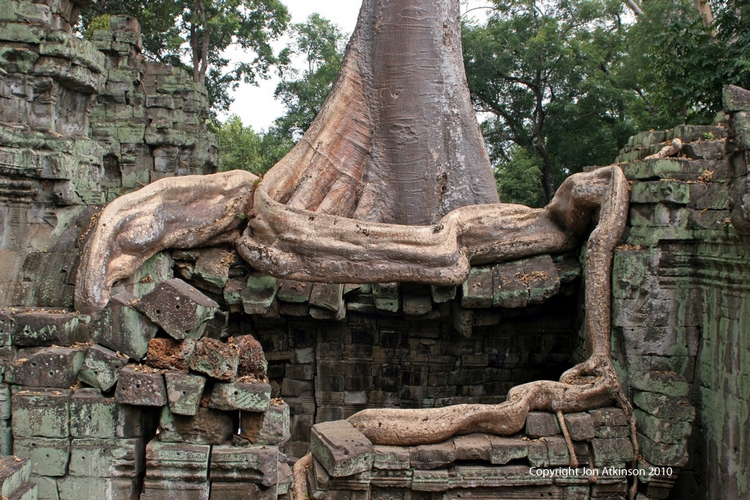 Ta Phrohm Temple, Angkor Thom